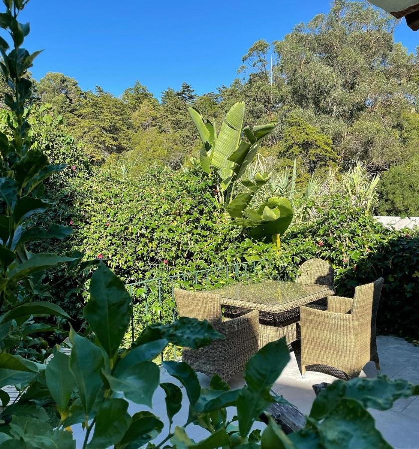 Casa Holstein Quinta De Sao Sebastiao Sintra Otel Dış mekan fotoğraf