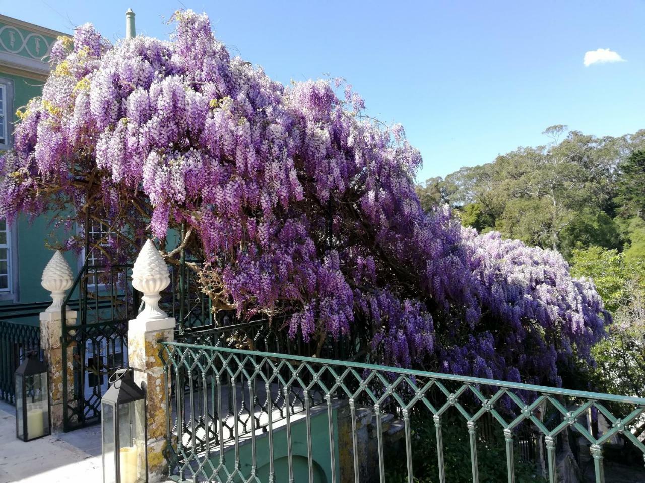 Casa Holstein Quinta De Sao Sebastiao Sintra Otel Dış mekan fotoğraf