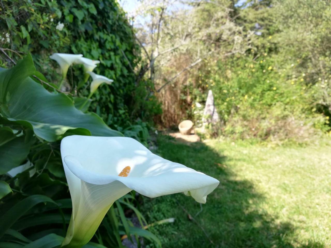 Casa Holstein Quinta De Sao Sebastiao Sintra Otel Dış mekan fotoğraf