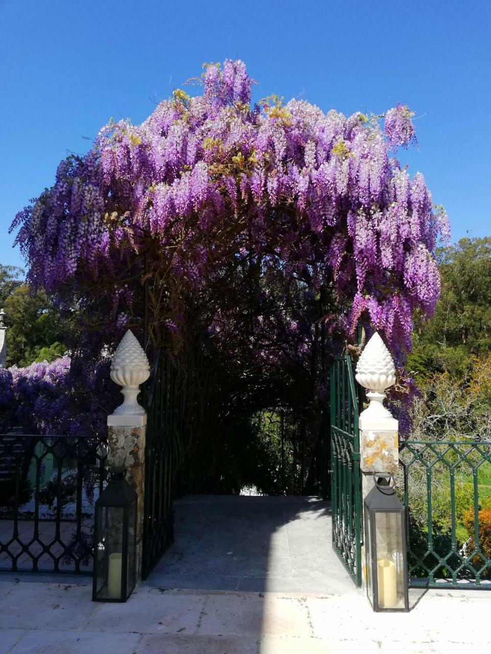 Casa Holstein Quinta De Sao Sebastiao Sintra Otel Dış mekan fotoğraf
